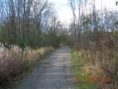 Bois De LÎle Bizard Nature Park Canada Quebec Photo Essay