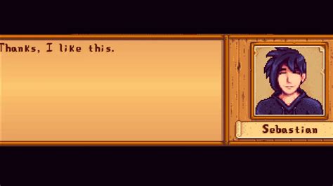 Stardew Valley Sebastian Guide