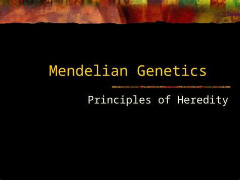 Ppt Mendelian Genetics Principles Of Heredity Gregor Mendel The