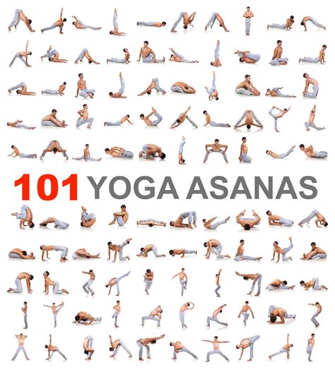 yin yoga pose chart 2 5x7 postcards yin yoga poses yoga poses - bikram ...