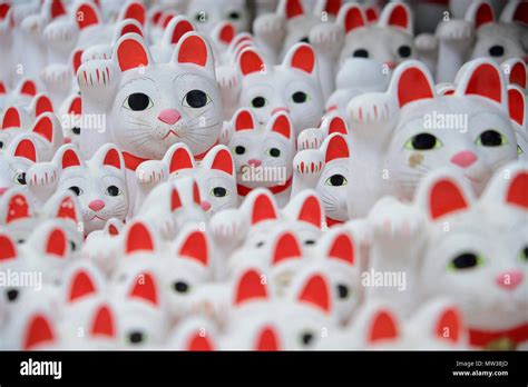 Maneki Neko Lucky Cats At Goutokuji Shrine Tokyo Japan Stock Photo