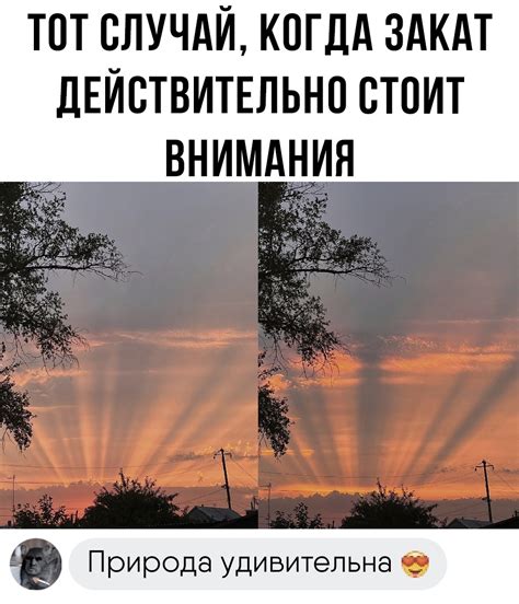 Юморные картинки