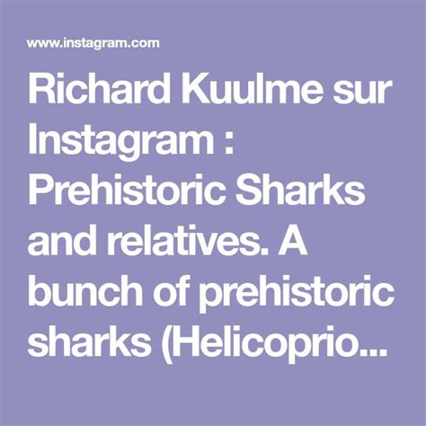 Richard Kuulme Sur Instagram Prehistoric Sharks And Relatives A