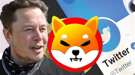 Shiba Inu: How Many SHIB Tokens Does Elon Musk Own?