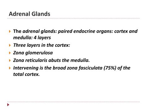 Ppt Adrenal Glands Powerpoint Presentation Free Download Id2109040