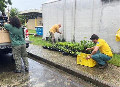 20ª Snct Por Ano 2 Mil Mudas De Espécies Nativas São Distribuídas