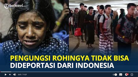 Kanwil Kemenkumham Aceh Sebut Pengungsi Rohingya Tidak Bisa Dideportasi