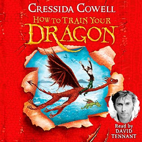 How to train your dragon book 1 - bdagulf