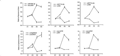 Rt Pcr Analysis Of Mirna And Its Targets Expression Rt Pcr Was