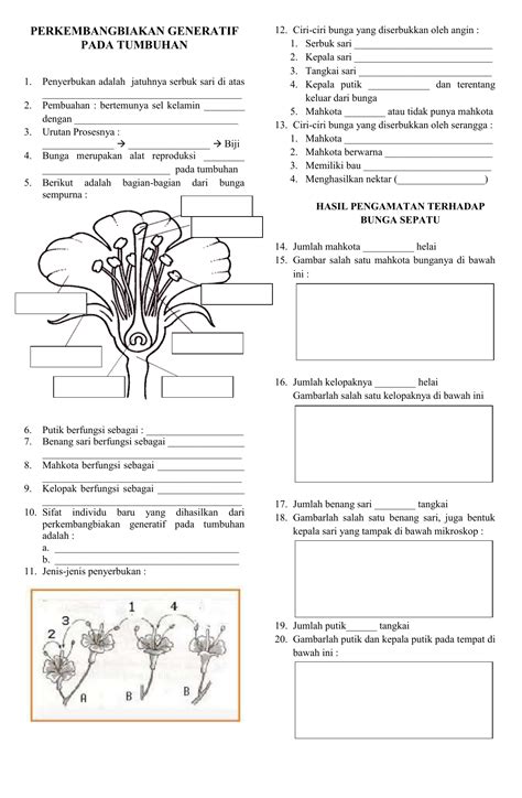 Download Soal Pertumbuhan Dan Perkembangan Tumbuhan Doc Jejak Sekolah