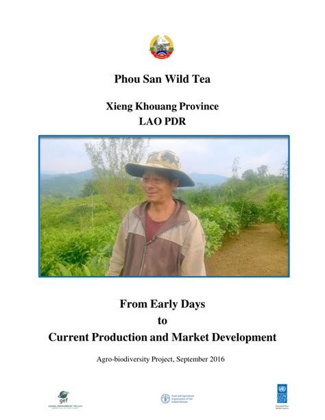 Pdf Phou San Wild Tea Xieng Khouang Province Lao Pdr From Early Days