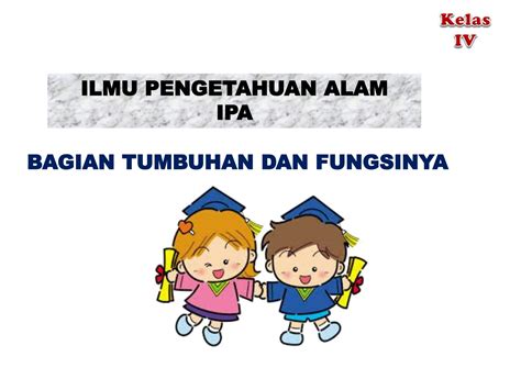 SOLUTION Bagian Tumbuhan Dan Funsinya Ipa Kelas Iv Sd Studypool