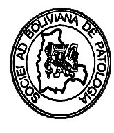 Sociedades Cientificas Colegio M Dico De Bolivia