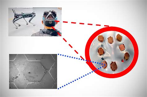 Biosensores De Grafeno Permiten Controlar Robots Con La Mente En