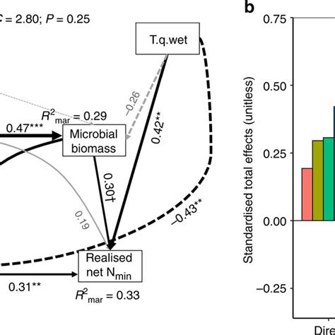 Global Drivers Of Realised Soil Net N Mineralisation Soil Net Nmin A