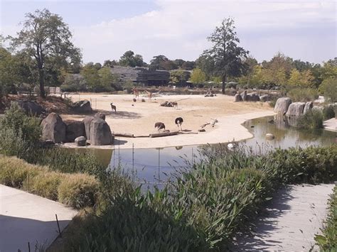 Top 8 Things to See and Do in Paris Zoo