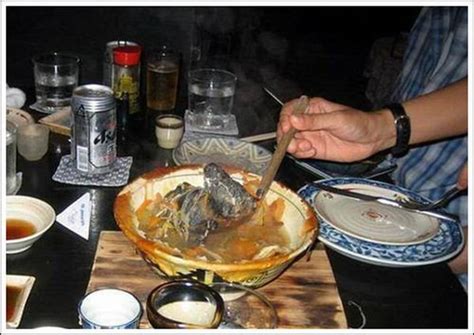 animals world: Delicious Bat Soup Amazing Yuck Pictures | Delicious Bat Soup Of Chinese People ...