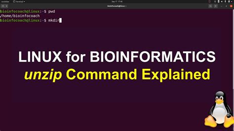 Unzip Command Explained In Linux For Bioinformatics Youtube