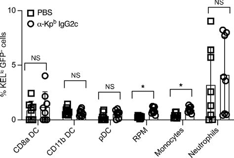 Figure 1 From Complement C3 And Marginal Zone B Cells Promote Igg