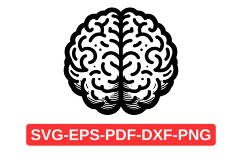 Brain Svg Digital Download Human Brain Graphic By Artful Assetsy · Creative Fabrica