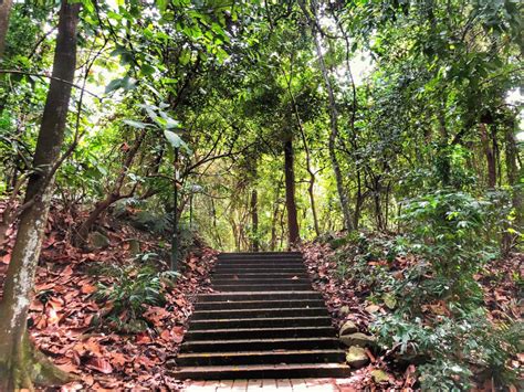 Bukit Batok Nature Park - Tranquil Beauty in Singapore | Visit Today