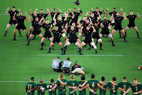 Coupe du monde 2023 All Blacks Afrique du Sud historique et à sens