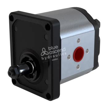 Blue Ascend Hydraulics Gmbh Hydraulic Gear Pumps