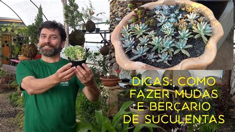 Dicas Como Fazer Mudas E Ber Rio De Suculentas Youtube