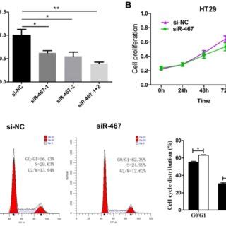 Knockdown Of Linc Expression Impeded The Proliferation Of Crc