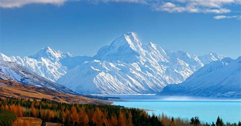 Christchurch To Mount Cook Via Lake Tekapo 1 Way Tour Getyourguide