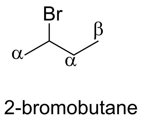 How many β carbon atoms does 2 Bromobutane have?