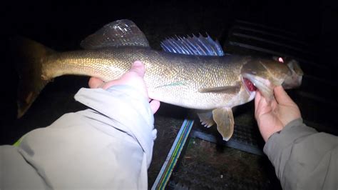 Night Fishing Walleyes From Shore Youtube