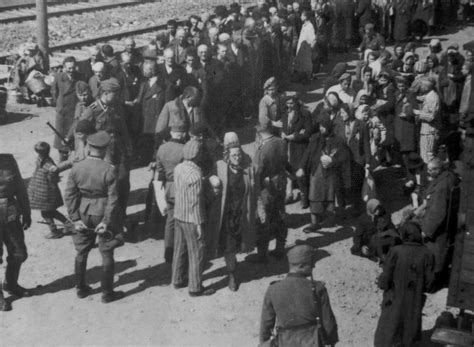 Прибытие евреев в концлагерь Освенцим. Формирование колонн. — военное фото