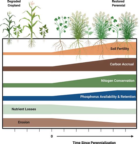 Frontiers Restoring Soil Fertility On Degraded Lands To Meet Food