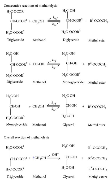 Dynamic Modeling Of Reversible Methanolysis Of Jatropha Curcas Oil To