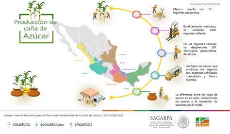 Infograf As De La Agroindustria De La Ca A De Az Car Comit Nacional