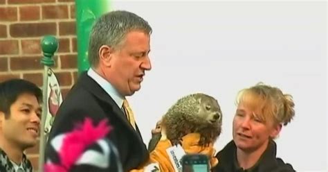 Groundhog dies after de Blasio fumble - CBS News