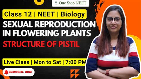 Pistil Sexual Reproduction In Flowering Plant Aagaz Neet 2024 Batch Shruti Mam One Stop