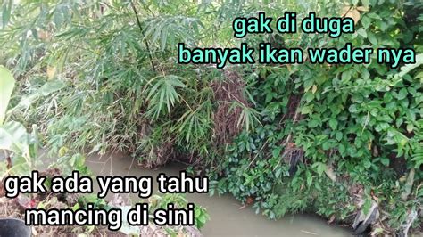 Gak Ada Yang Tahu Mancing Di Sini Ternyata Banyak Ikan Wader Dan Ikan