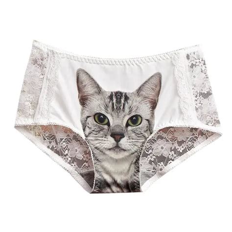 Buy Cats Underwear Women Briefs Sexy Lace Seamless Anti Emptied 3d Short Pants