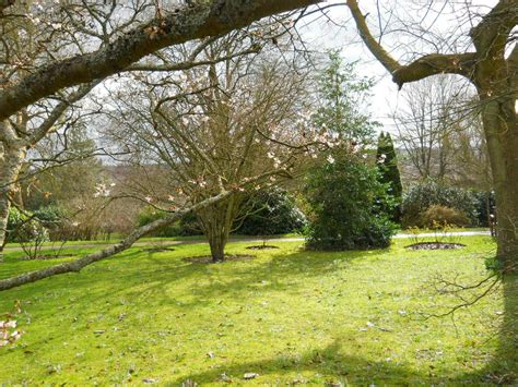 Anemone Times: Bath Botanical Gardens