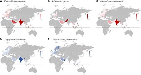 Frontiers Major Bloodstream Infection Causing Bacterial Pathogens And