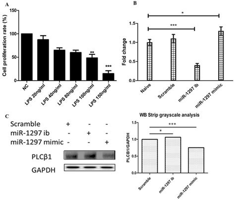 The Expression Of Mir 1297 In The Ccc Hie 2 Cells After Transfection