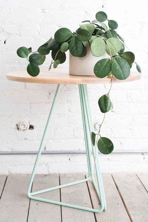 Pilea La Planta Influencer De La Decoraci N En Instagram Decoration