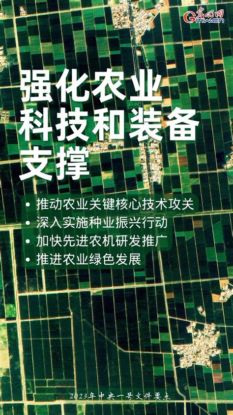 全面推进乡村振兴丨一组海报带你看2023年中央一号文件重点工作 光明网