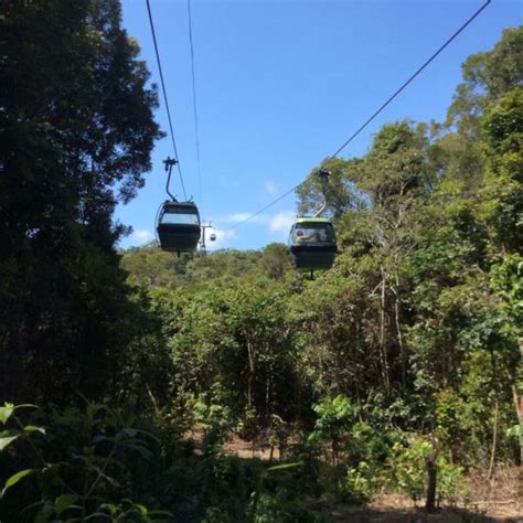 Skyrail Rainforest Cableway Smithfield Australia Top Tips Before