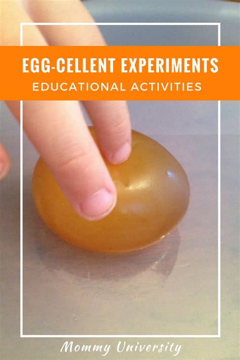 Egg Cellent Experiments 5 Simple Experiments Using Eggs Mommy University