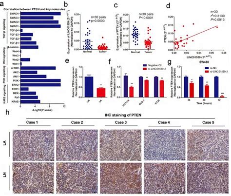 Rna Methylation Mediated Linc Suppresses Colorectal Cancer