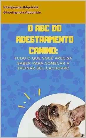 O Abc Do Adestramento Canino Tudo Que Voc Precisa Saber Para Come Ar