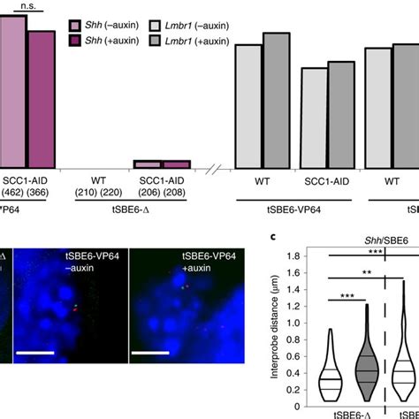 Depletion Of Cohesin But Not Of Ctcf Inhibits Distal Enhancer Driven